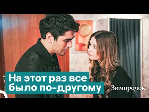 Видео: Момент, Когда Правда Ударяет По Лицу, Как Пощечина | Зимородок