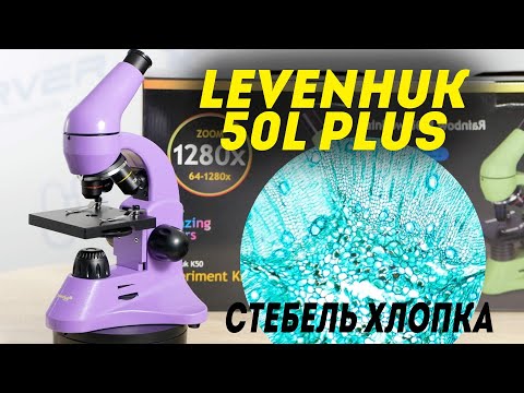 Видео: Микроскоп Levenhuk Rainbow 50L PLUS | Обзор | Тест