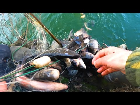 Видео: ВОТ ЭТО УЛОВ ! РЕКА ДНЕСТР ! РЫБАЛКА В ЯНВАРЕ! КУЧА РЫБЫ ПОПАЛА В СЕТЬ !!! УЖАСС!!! НЕ МОГУ ПОДНЯТЬ!