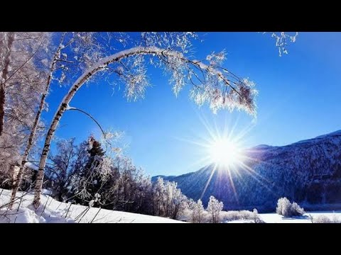 Видео: Relax ✨ Qigong в прямом эфире! Начало Зимнего ❄️ курса  Практик ☯️ ! 5 и 7 ноября в 7.00 ...
