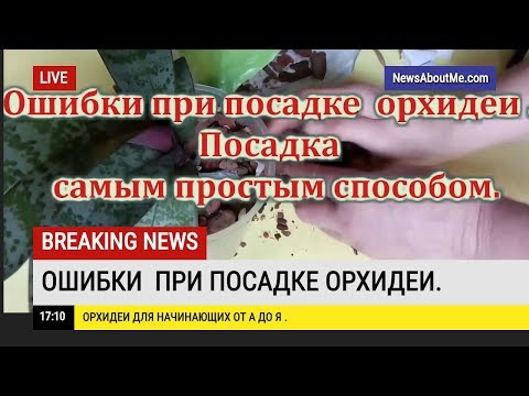 Видео: Ошибки при посадке орхидеи. Сажаем самым простым способом.