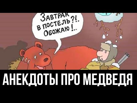 Видео: 😂 Подборка лучших анекдотов про медведя — смех до слёз!