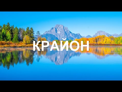 Видео: Стоит вам перестать отдавать им силу как они ослабнут и вы поймете что на самом деле нечего бояться