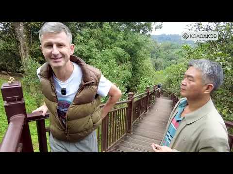 Видео: СОВРЕМЕННЫЕ МАСТЕРА КИТАЯ | КУАН ЦЗЮНЬ