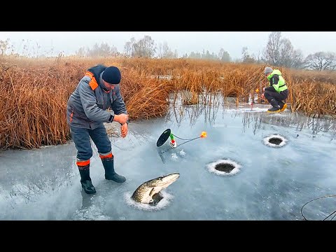 Видео: СЕРЁГА, ЖЕРЛИЦЫ СНИМАЙ... МЕНТОВ ВЫЗВАЛИ!!! РЫБАЛКА на ЖЕРЛИЦЫ и ПОДВОДНАЯ СЪЕМКА ПОКЛЁВОК