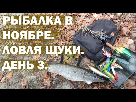 Видео: Рыбалка в ноябре. Ловля щуки. Джерки и резина. День 3.