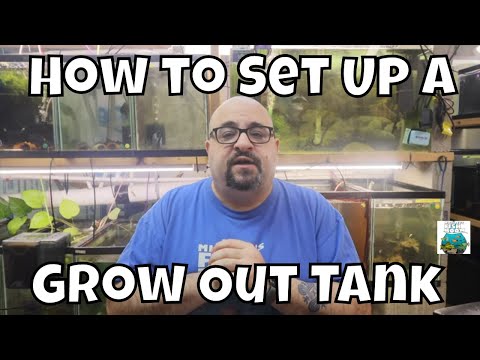 Видео: Как настроить резервуар для выращивания растений
