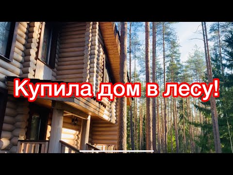 Видео: КУПИЛА ДОМ В ЛЕСУ. НЕОЖИДАННЫЙ ВЫБОР. 20 мая 2020 г.