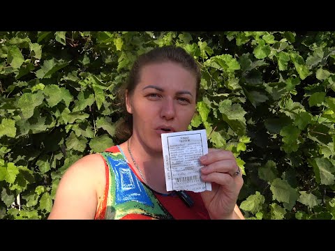 Видео: Собираем урожай. БОЛЬШОЙ УРОЖАЙ ПОМИДОРОВ. Как живут люди в степи Казахстана