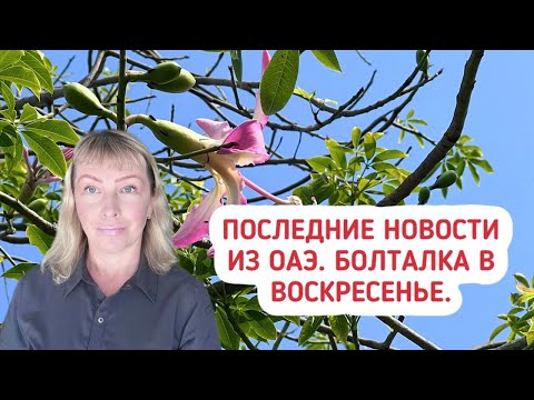 Видео: Последние новости из ОАЭ. Болталка в воскресенье.