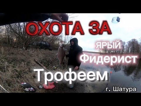 Видео: Рыбалка на Фидер  Донки г. Шатура. В чудесной компании Ярова фидериста Ярика. #фидер #донки