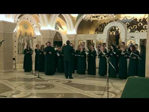 Видео: Концерт Св. Јовану Владимиру у Крипти храма Светог Саве