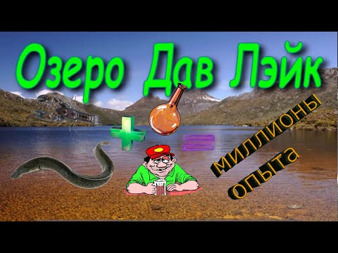 Видео: Тасманский рак и Угорь короткоребристый на Озере Дав Лэйк. Русская Рыбалка 3.99.