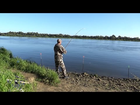 Видео: Лещ на Сало Осенью! Карасищи на Поплавок в Октябре! Рыбалка на реке!