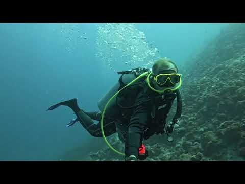 Видео: 450 Химанду дайвинг. Himandhoo diving