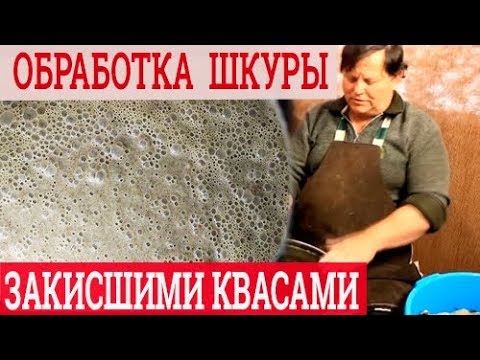 Видео: Квашение шкур. Выделка шкур закисшими киселями
