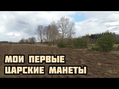 Видео: Мои первые царские монеты. Коп с TX 850