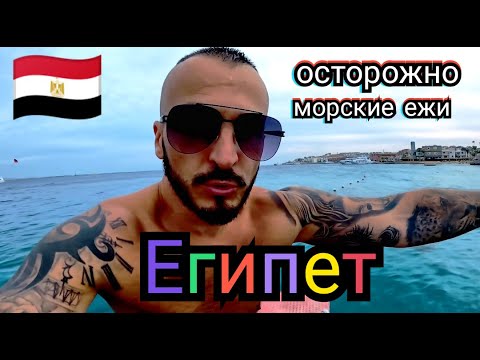 Видео: Египет 🇪🇬  Пляж в отеле Minamark Beach Resort & Spa в Хургаде