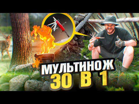 Видео: 30 в 1 МУЛЬТИТУЛ - Выживание в Диком Лесу