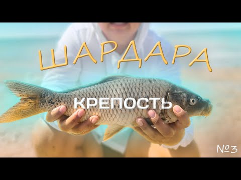 Видео: Шардара 2023 , Крепость , 2-3 қыркүйек