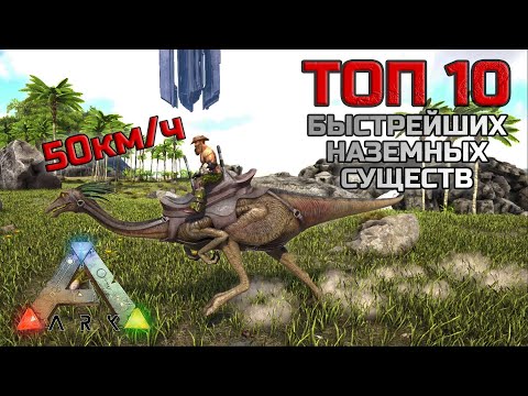 Видео: ТОП 10 Самых быстрых наземных существ в ARK Survival Evolved
