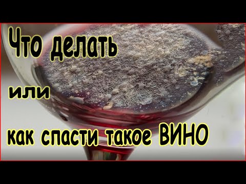 Видео: Винная цвель - одна из основных болезней вина.