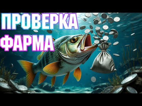 Видео: Русская Рыбалка 4 Катушки Удочки в Рулетке ФАРМ!