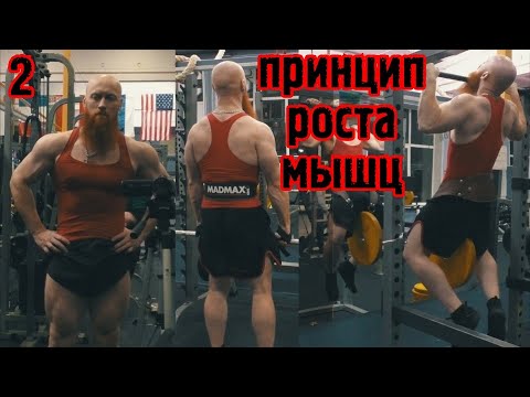 Видео: Программа тренировок натурала. Прогресс в упражнениях
