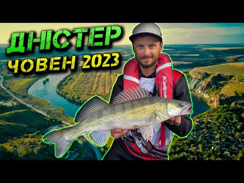 Видео: ✅Нарешті! Ловля Судака і Жереха | Човен 2023 | ДНІСТЕР✅