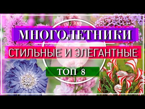 Видео: 🌹 8 МОДНЫХ Растений для Сада 💕😍