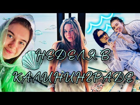 Видео: ВЛОГ Неделя в Калининграде | Куршская коса, Зеленоградск, Светлогорск, SPA Янтарный