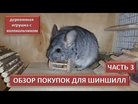 Видео: Обзор покупок для шиншиллы ч.3 (деревянная игрушка с колокольчиком) - что за зверь такой - шиншилла?