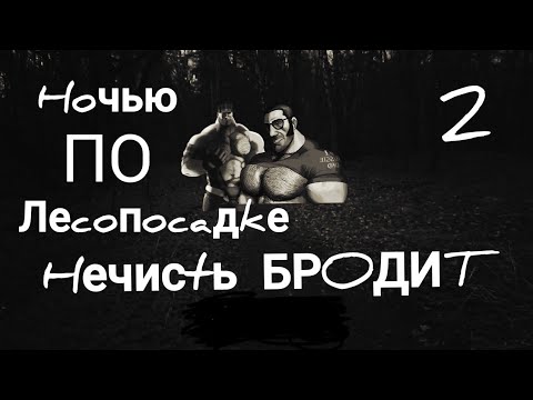 Видео: Ночью по лесопосадке нечисть БРОДИТ 2 (МГЕ страшилка #10)