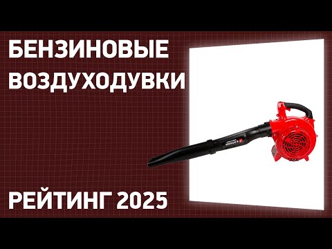 Видео: ТОП—7. Лучшие бензиновые воздуходувки и садовые пылесосы. Рейтинг 2025 года!