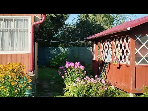 Видео: На даче у сестры, Покровка Дачная