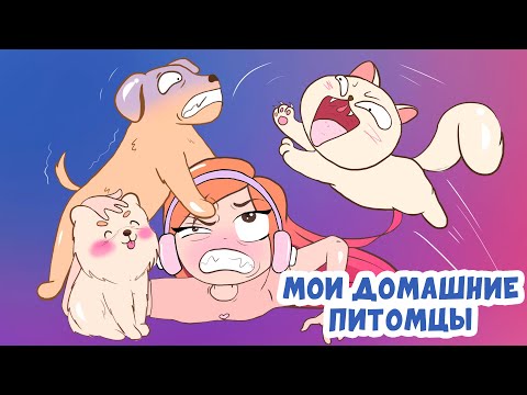 Видео: МОИ ДОМАШНИЕ ПИТОМЦЫ