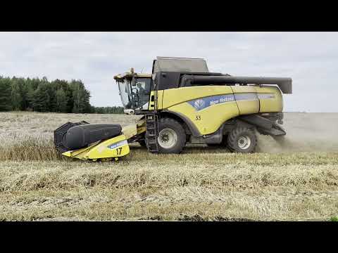 Видео: Комбайны New Holland CX840. Уборка пщеници в Брянской области.  Почти вся пшеница лежала.