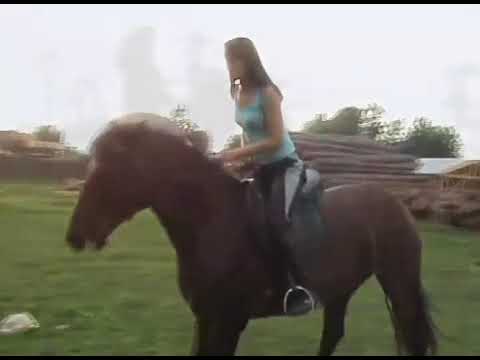 Видео: 1 октября 2025 г.