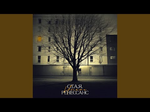 Видео: Ночами