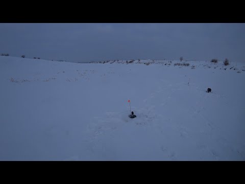 Видео: ЖЕРЛИЦЫ СТРЕЛЯЮТ КАК ИЗ ПУЛЕМЕТА. Зимняя рыбалка на Ишиме!