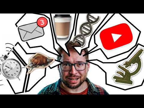 Видео: Есть ли у меня СДВГ?