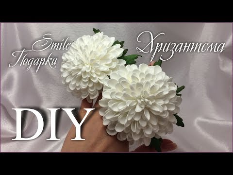 Видео: DIY 🌿 ХРИЗАНТЕМЫ из ФОАМИРАНА на резинках 🌿 САМЫЙ ПРОСТОЙ СПОСОБ 🌿 flowers with your own hands