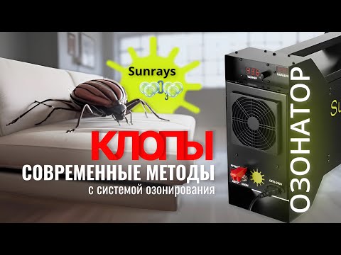 Видео: Озонирование от клопов