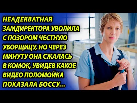 Видео: Замдиректора уволила уборщицу, но онемела, когда увидела видео, которое поломойка показала боссу