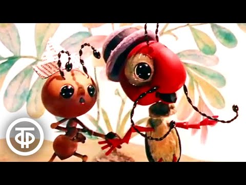 Видео: Утренняя музыка. Мультфильм (1974)