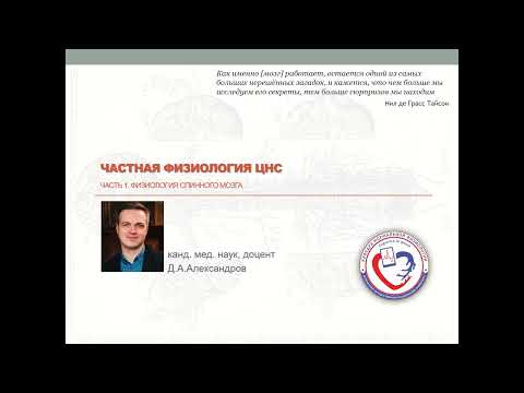 Видео: Лекция  "Частная физиология ЦНС. Часть 1. Физиология спинного мозга"