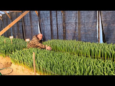 Видео: Проблемы на каждом шагу, но мы не опускаем руки