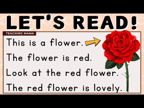 Видео: ДАВАЙТЕ ЧИТАТЬ! | ПРАКТИКУЕМСЯ В ЧТЕНИИ ПРОСТЫХ АБЗАЦЕВ | ПРОСТОЙ И ЛЕГКИЙ УРОК ЧТЕНИЯ | TEACHING...