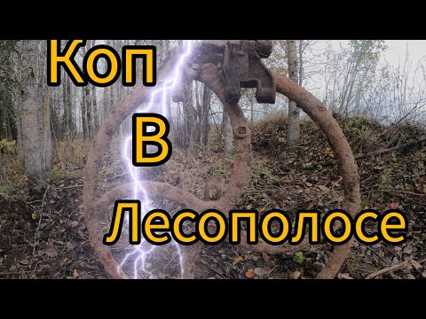 Видео: ВОТ ЭТО ДА. ОДИН СИГНАЛ И ПОНЕСЛОСЬ. КОП В ЛЕСОПОЛОСЕ. #КОПМЕТАЛЛА2023