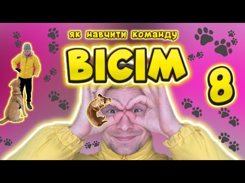 Видео: Вісім! Як навчити команду Вісім? Як навчити собаку робити вісімку?